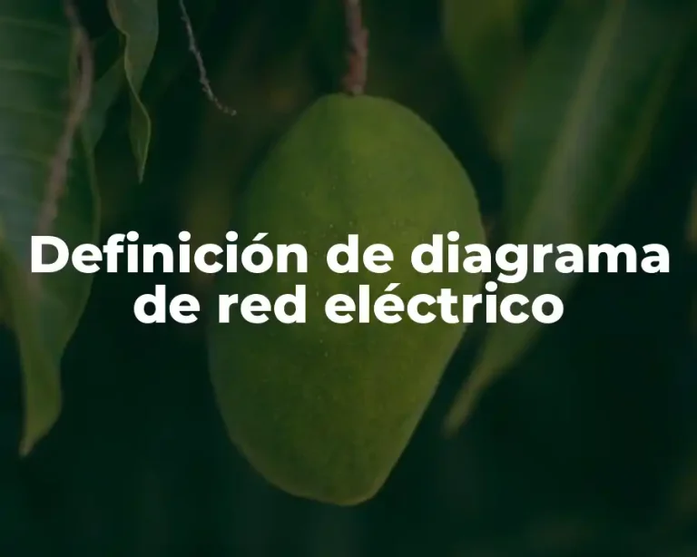 Definición de diagrama de red eléctrico