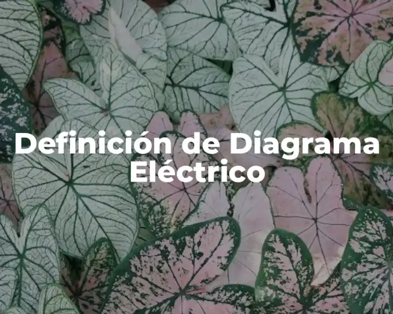 Definición de Diagrama Eléctrico
