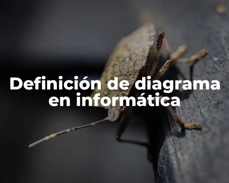 Definición de diagrama en informática