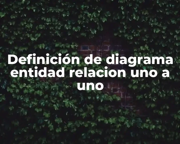 Definición de diagrama entidad relacion uno a uno