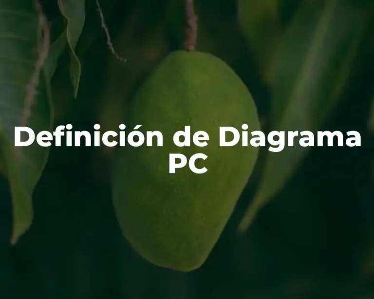 Definición de Diagrama PC