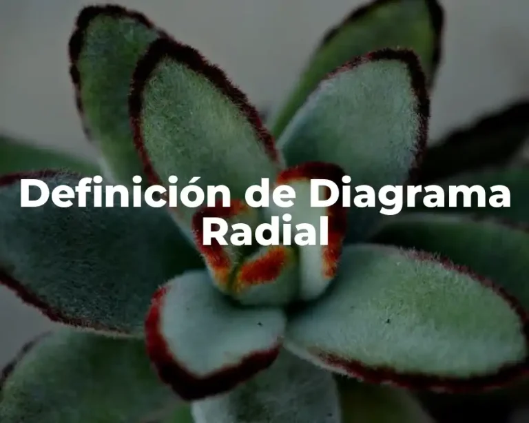 Definición de Diagrama Radial