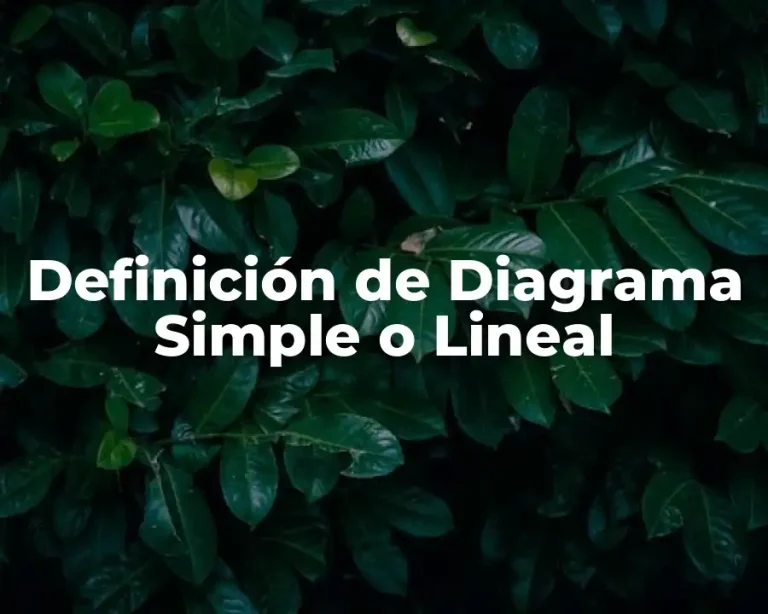 Definición de Diagrama Simple o Lineal