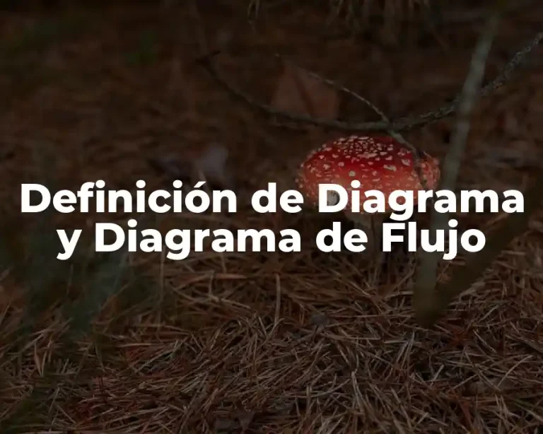 Definición de Diagrama y Diagrama de Flujo