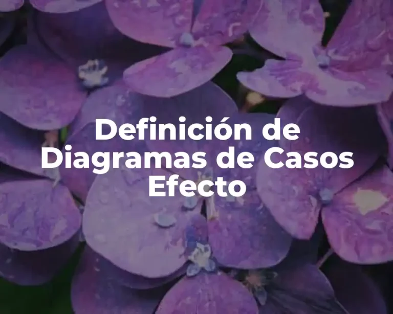 Definición de Diagramas de Casos Efecto