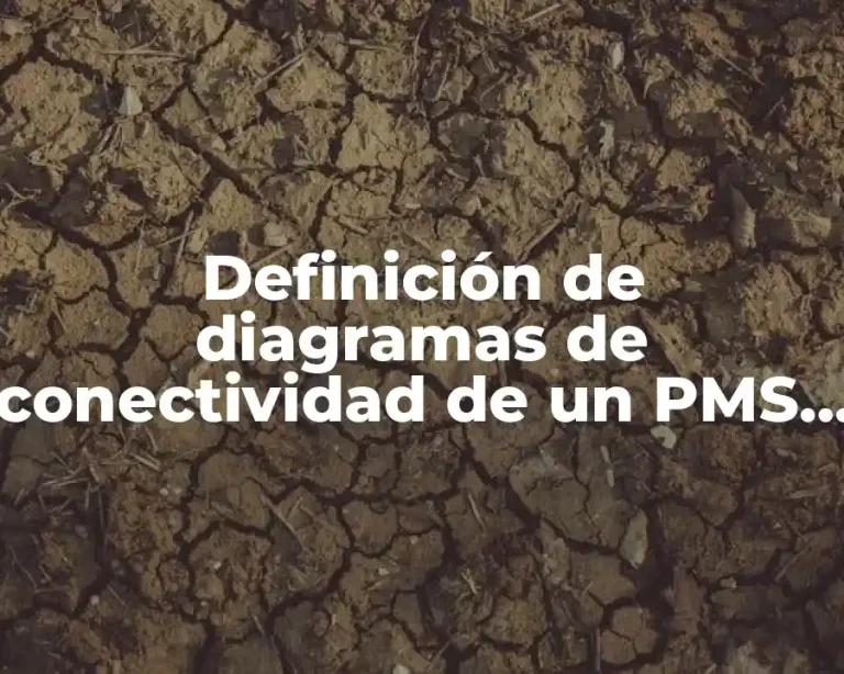 Definición de diagramas de conectividad de un PMS Maestro