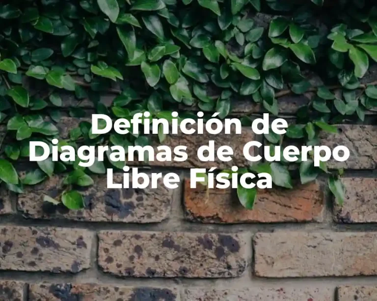 Definición de Diagramas de Cuerpo Libre Física