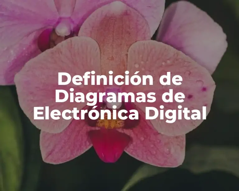 Definición de Diagramas de Electrónica Digital