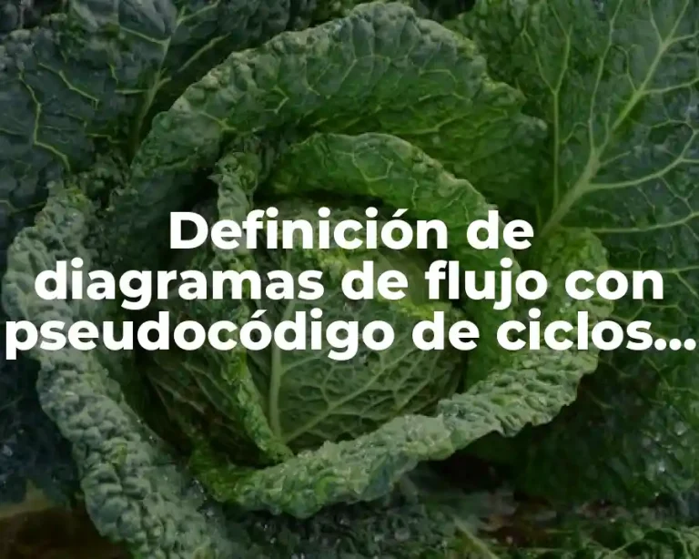 Definición de diagramas de flujo con pseudocódigo de ciclos indeterminados