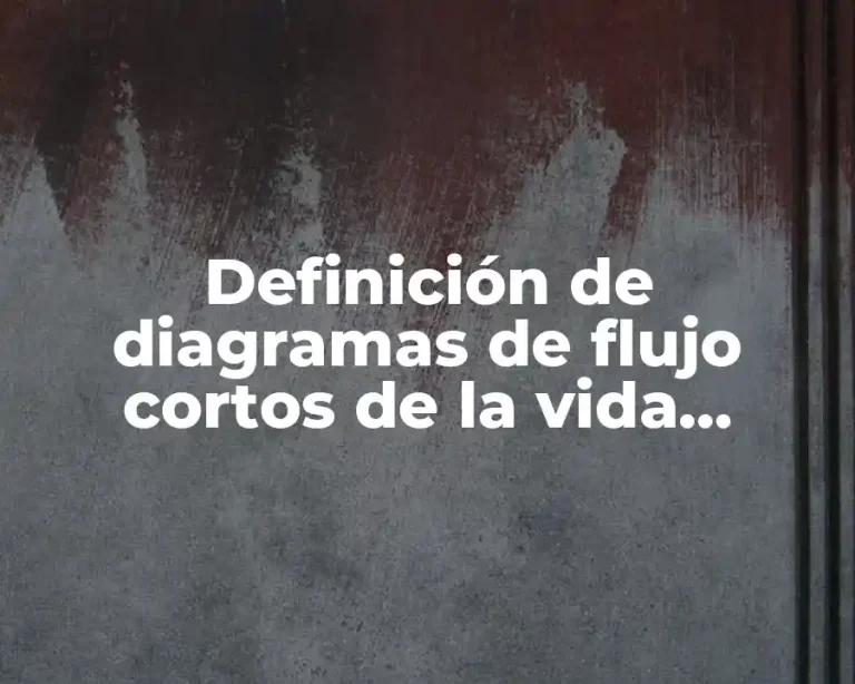 Definición de diagramas de flujo cortos de la vida cotidiana