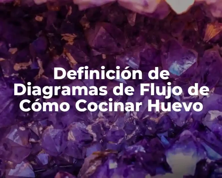 Definición de Diagramas de Flujo de Cómo Cocinar Huevo