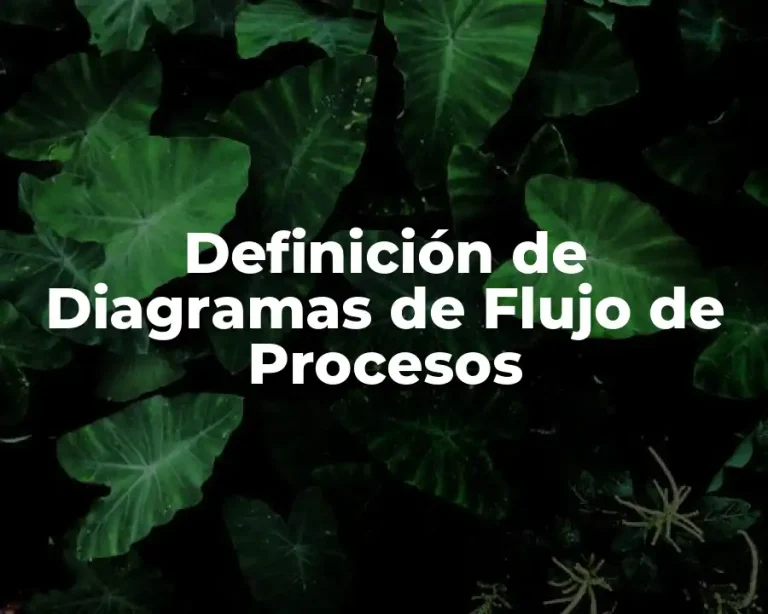 Definición de Diagramas de Flujo de Procesos