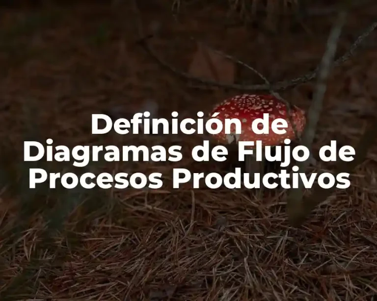 Definición de Diagramas de Flujo de Procesos Productivos