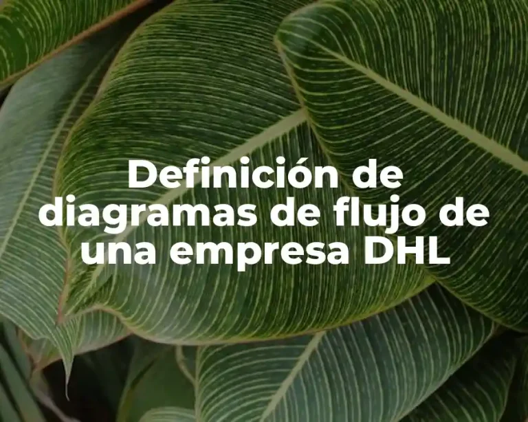 Definición de diagramas de flujo de una empresa DHL