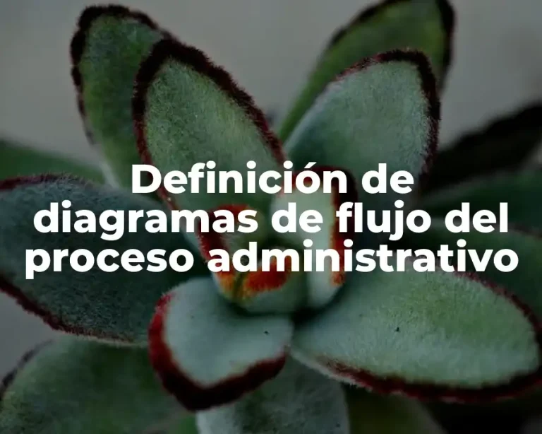 Definición de diagramas de flujo del proceso administrativo