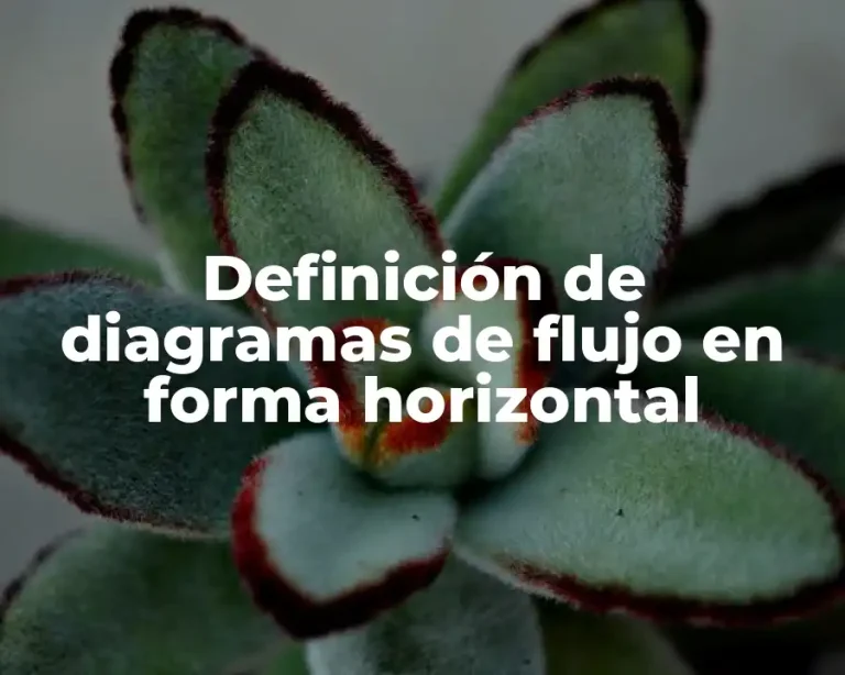 Definición de diagramas de flujo en forma horizontal