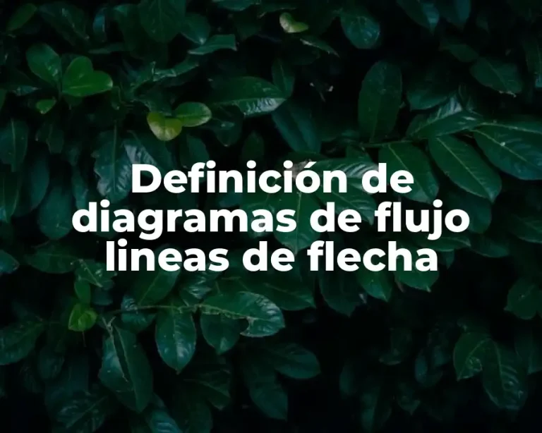 Definición de diagramas de flujo lineas de flecha