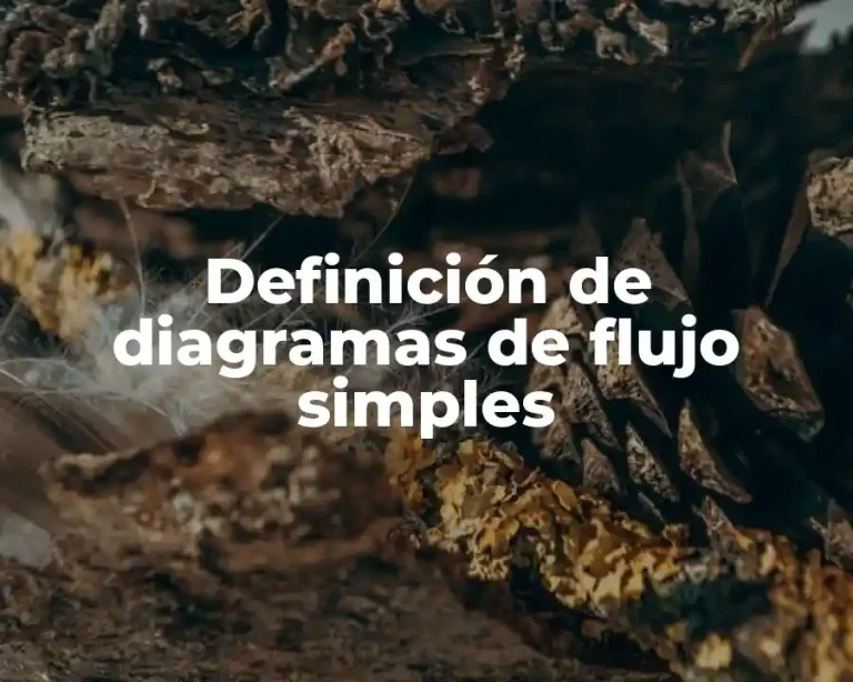 Definición de diagramas de flujo simples