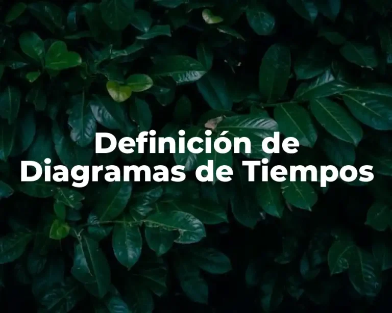 Definición de Diagramas de Tiempos