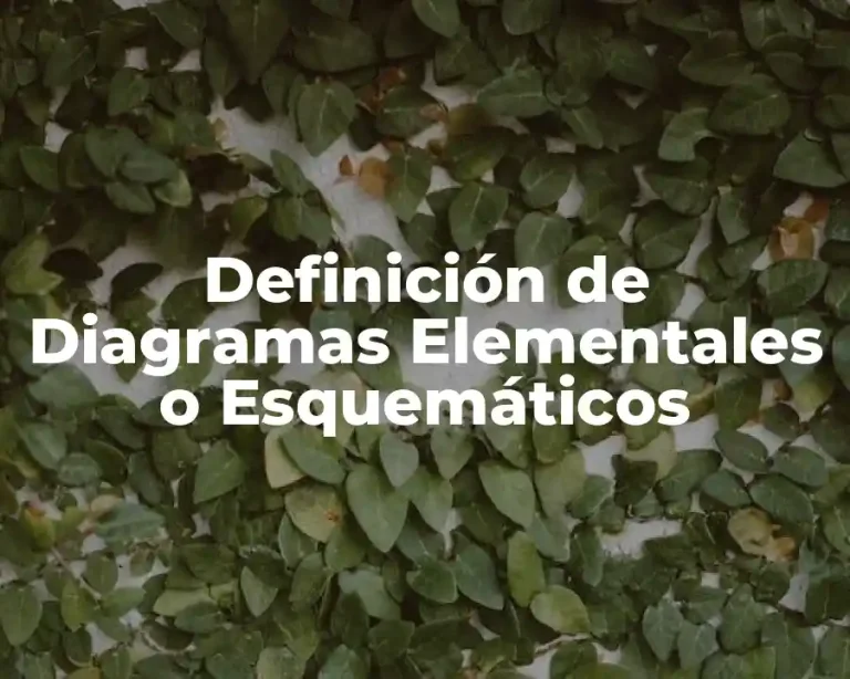Definición de Diagramas Elementales o Esquemáticos