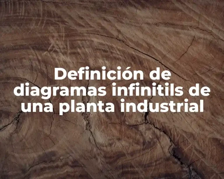Definición de diagramas infinitils de una planta industrial