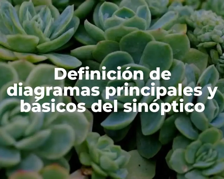 Definición de diagramas principales y básicos del sinóptico