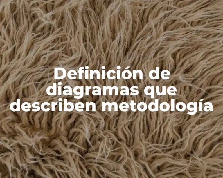 Definición de diagramas que describen metodología