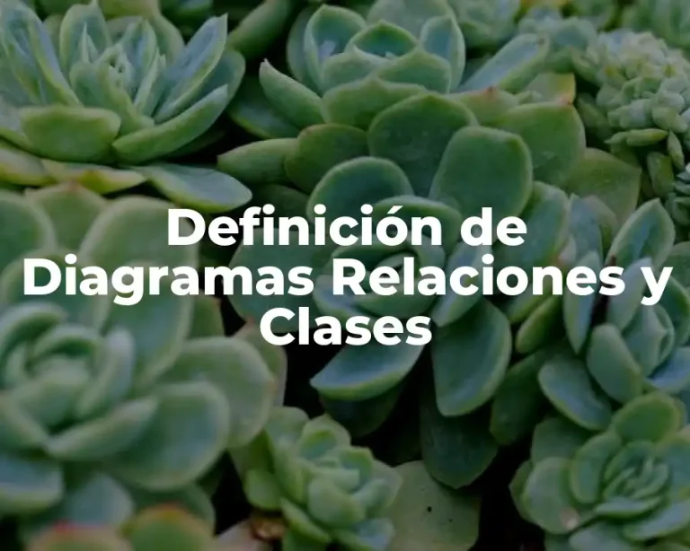 Definición de Diagramas Relaciones y Clases