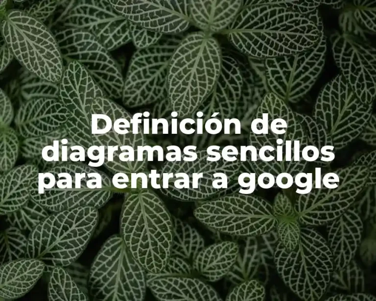 Definición de diagramas sencillos para entrar a google