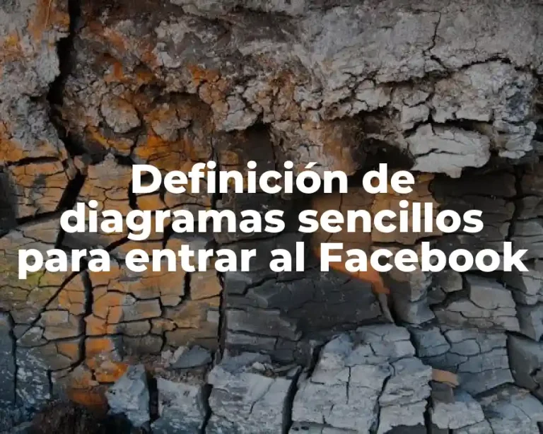 Definición de diagramas sencillos para entrar al Facebook