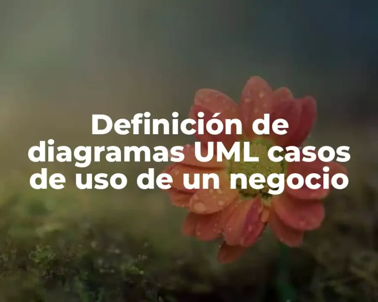 Definición de diagramas UML casos de uso de un negocio
