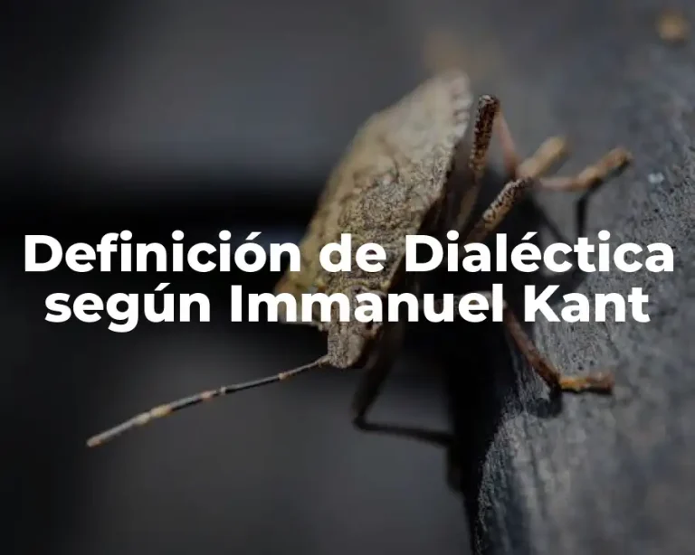 Definición de Dialéctica según Immanuel Kant