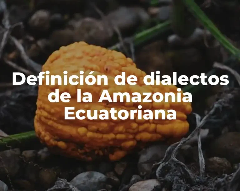 Definición de dialectos de la Amazonia Ecuatoriana