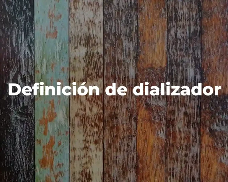 Definición de dializador