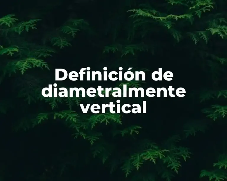 Definición de diametralmente vertical