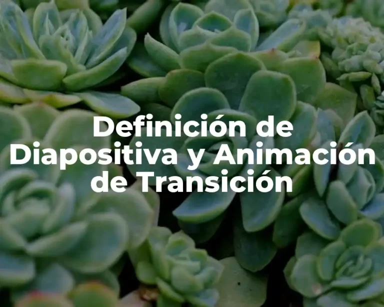 Definición de Diapositiva y Animación de Transición