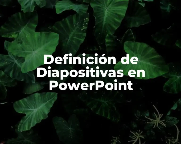 Definición de Diapositivas en PowerPoint