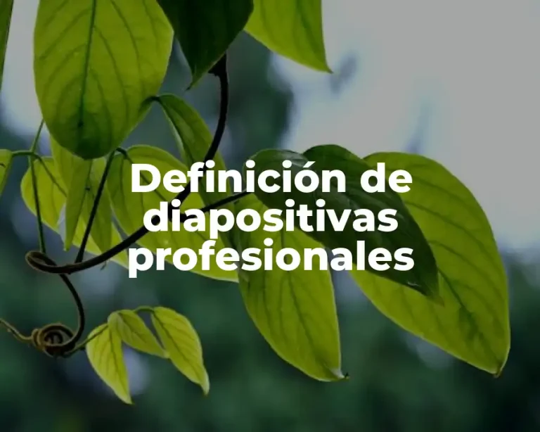 Definición de diapositivas profesionales
