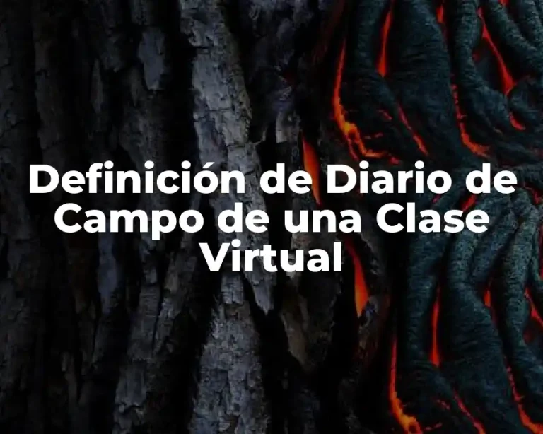 Definición de Diario de Campo de una Clase Virtual