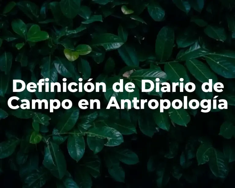 Definición de Diario de Campo en Antropología