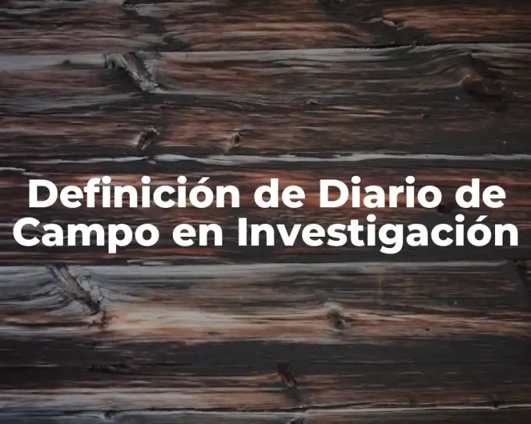 Definición de Diario de Campo en Investigación