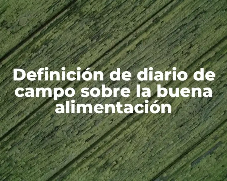 Definición de diario de campo sobre la buena alimentación