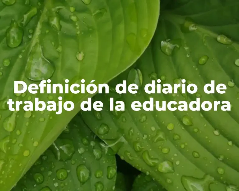 Definición de diario de trabajo de la educadora
