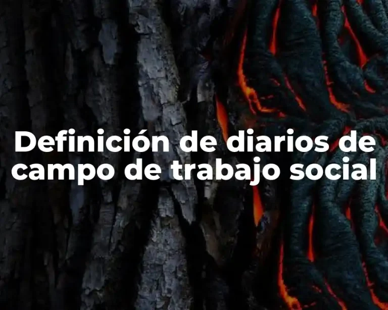 Definición de diarios de campo de trabajo social