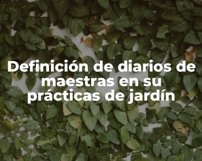 Definición de diarios de maestras en su prácticas de jardín