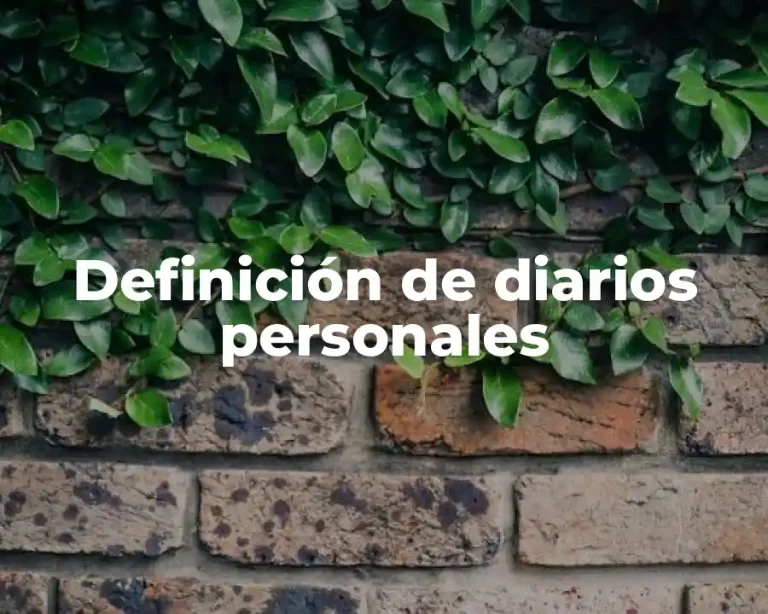 Definición de diarios personales