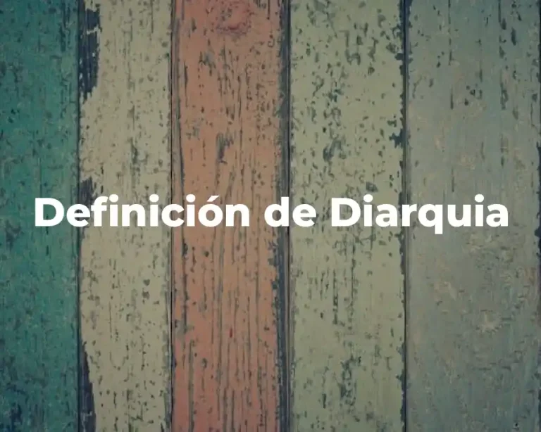 Definición de Diarquia
