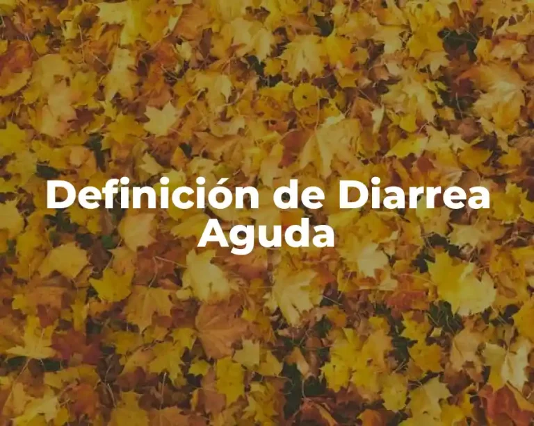 Definición de Diarrea Aguda