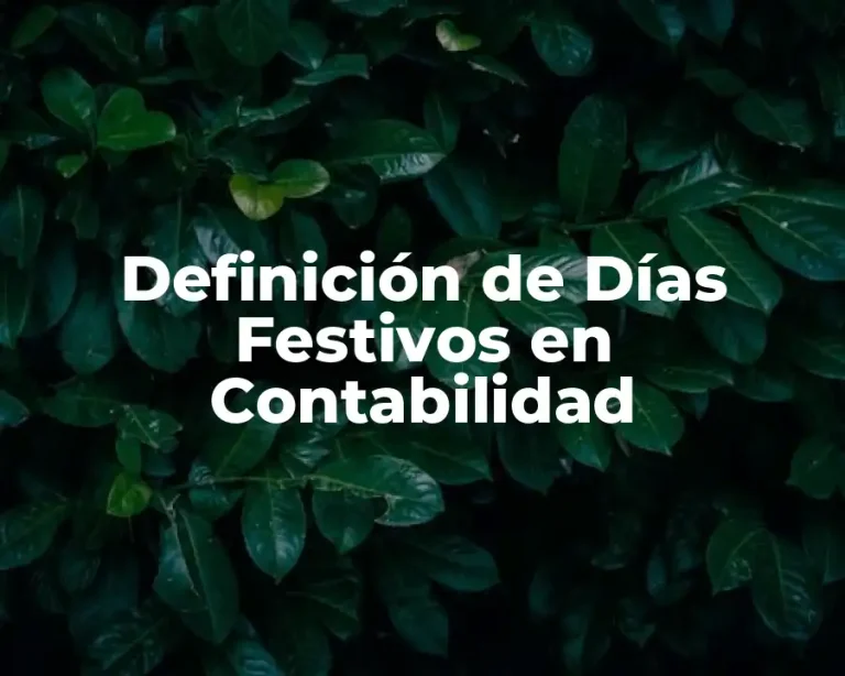 Definición de Días Festivos en Contabilidad