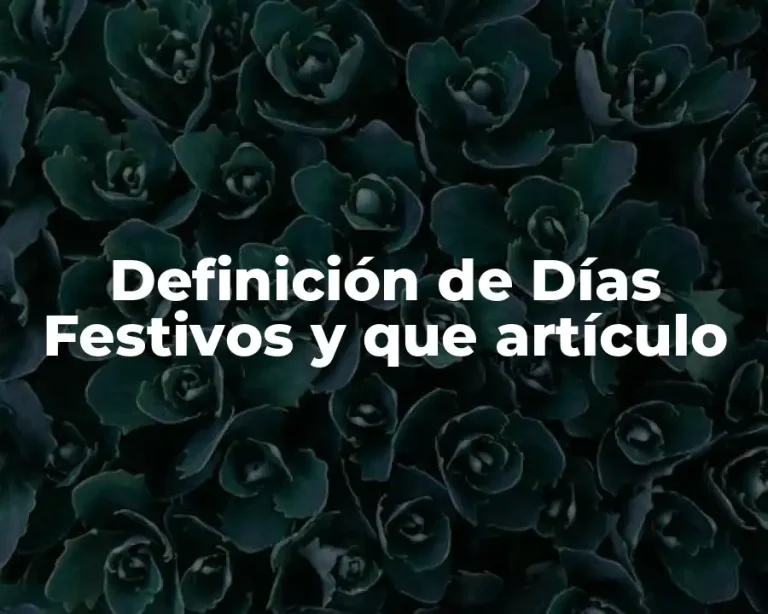 Definición de Días Festivos y que artículo